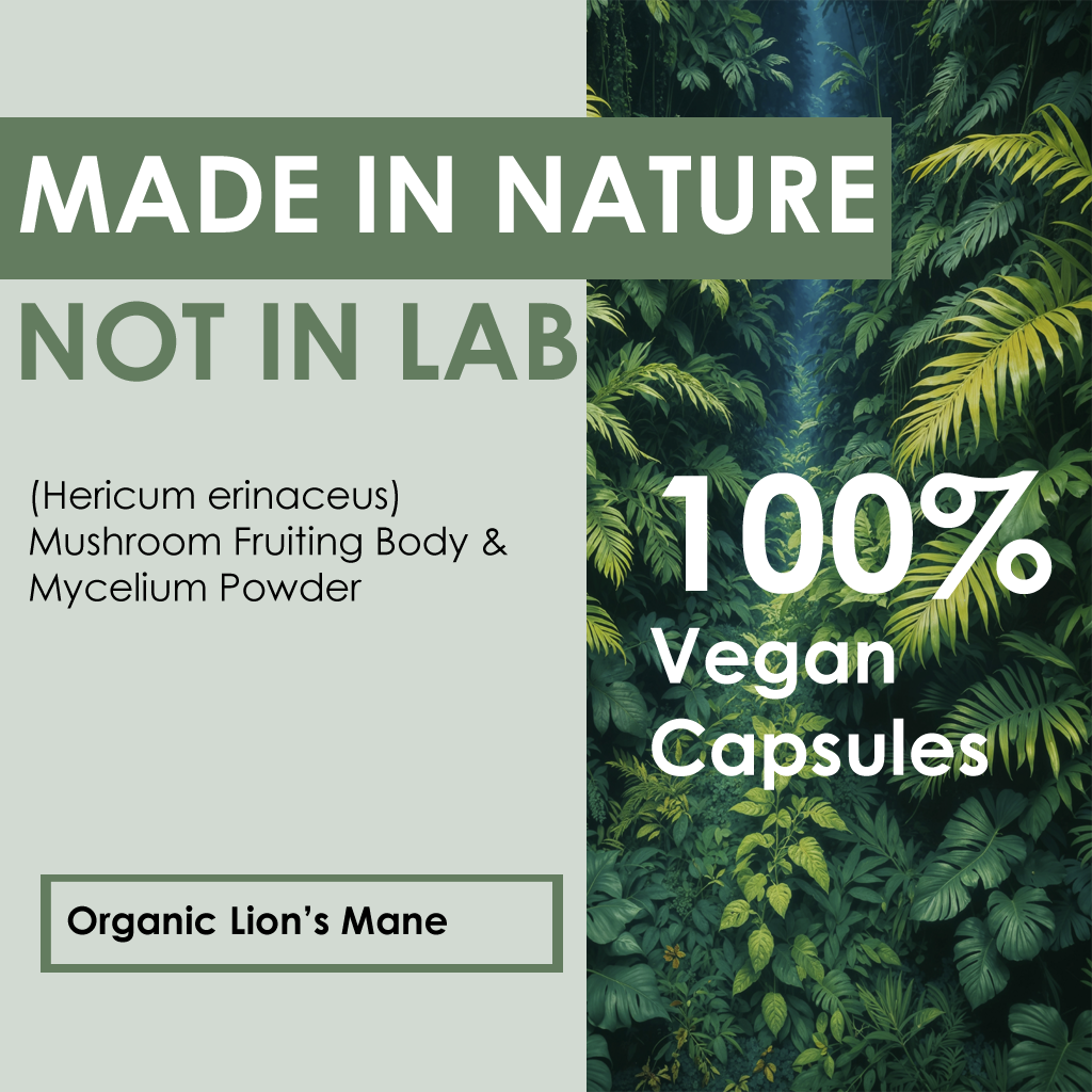 Lion's Mane Mushroom