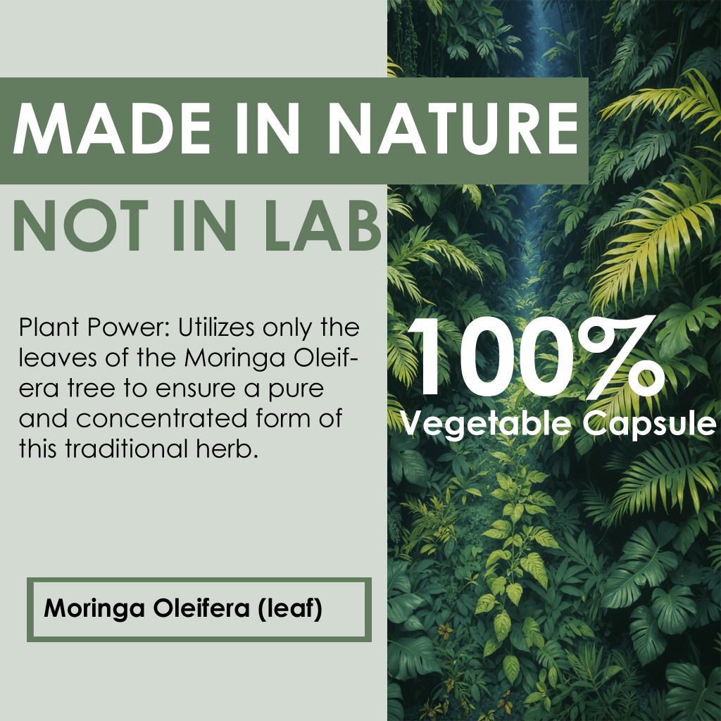 100% USA Made Pure Moringa Capsules