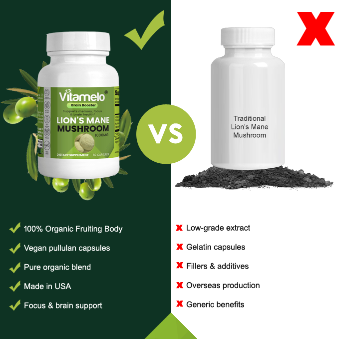 Lion's Mane Mushroom