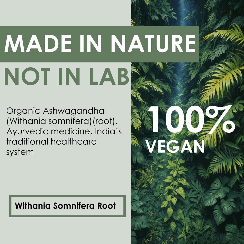 Ashwagandha | Ayurvedic Herbal Medicine